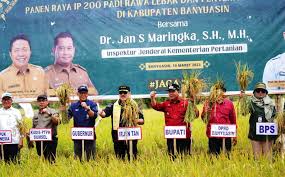 Kabupaten Banyuasin Surplus Beras 5.841 Ton – Radar Banyuasin